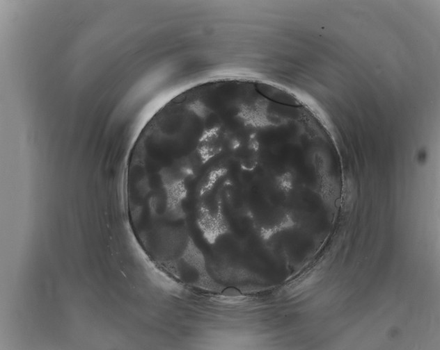 X0000090711295200707271123