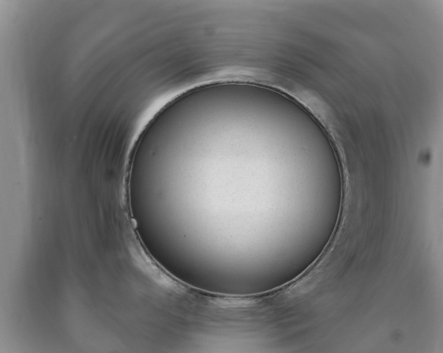 X0000090711296200707271123