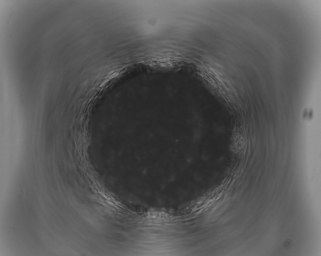 X0000090711297200707271123