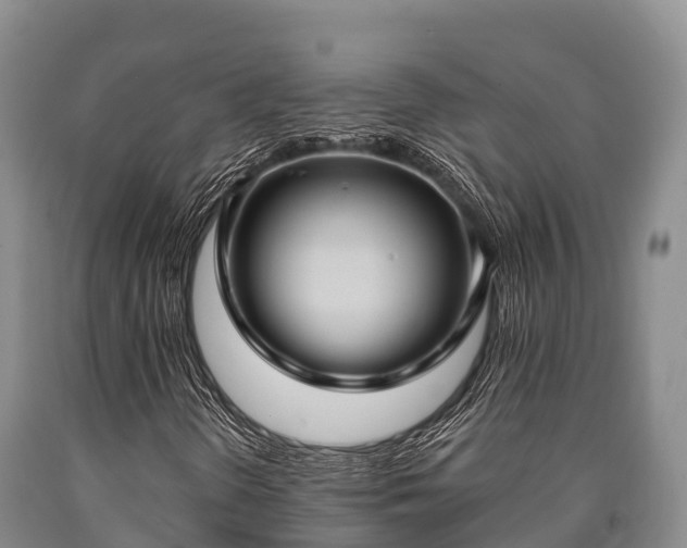 X0000090711298200707271123