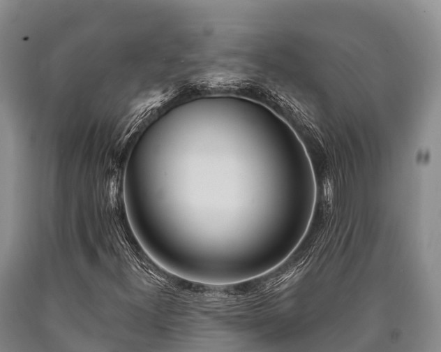 X0000090711300200707271123