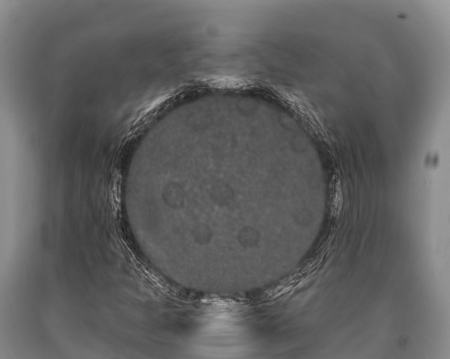 X0000090711301200707271123