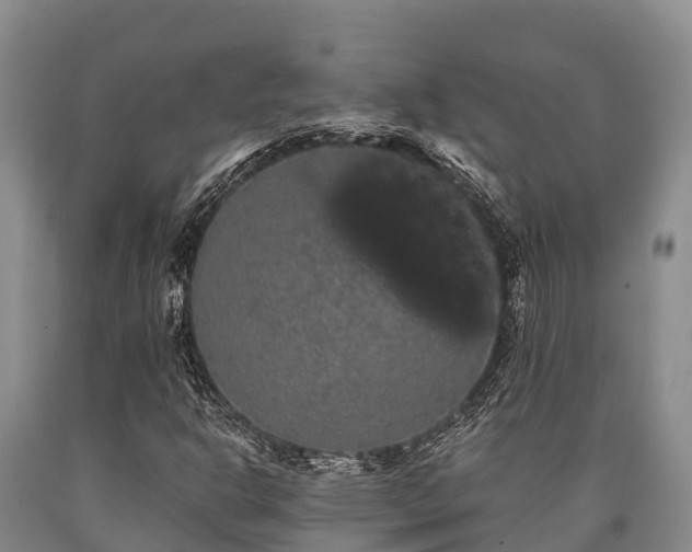 X0000090711302200707271123