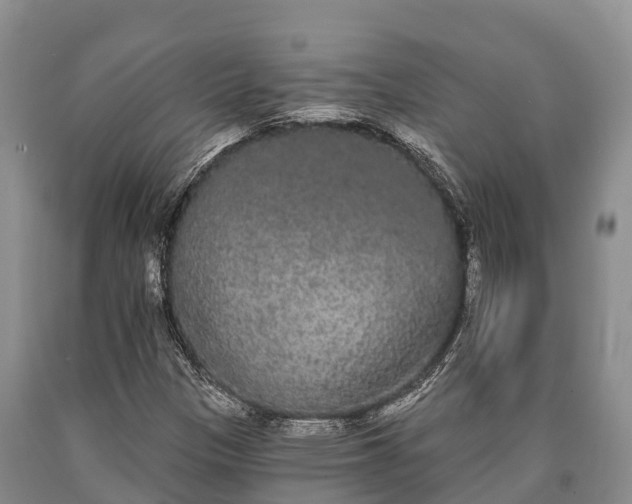 X0000090711305200707271123