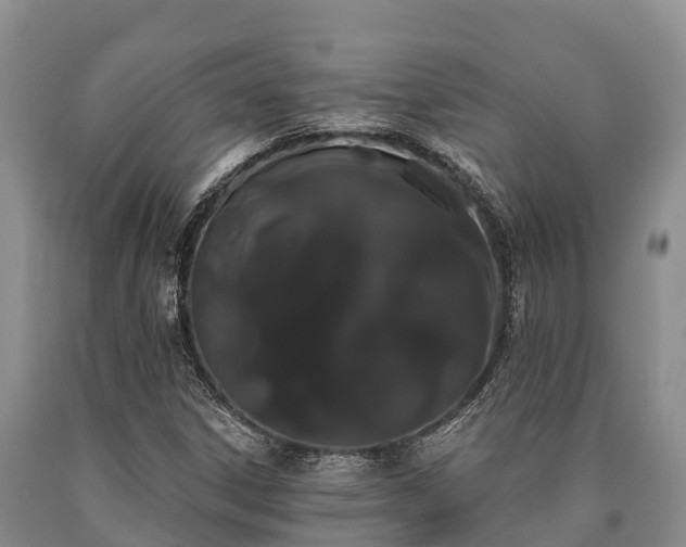 X0000090711306200707271123