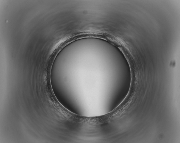 X0000090711307200707271123