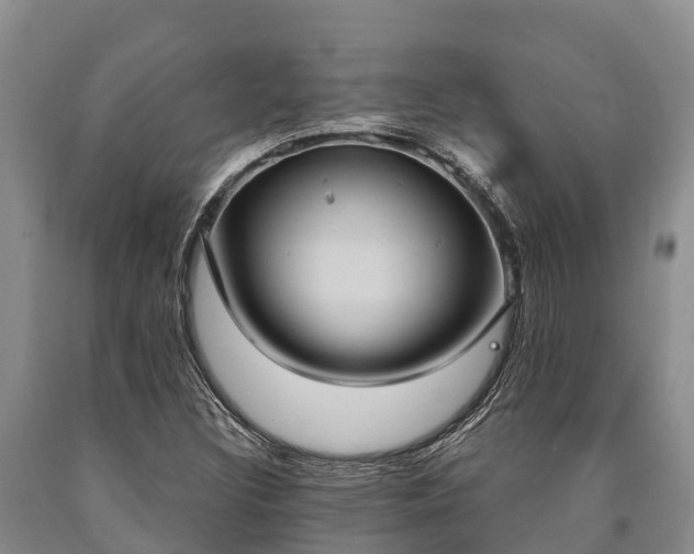 X0000090711308200707271123