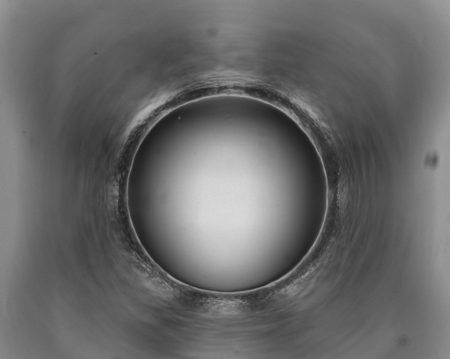 X0000090711309200707271123