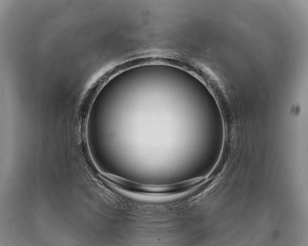 X0000090711310200707271123