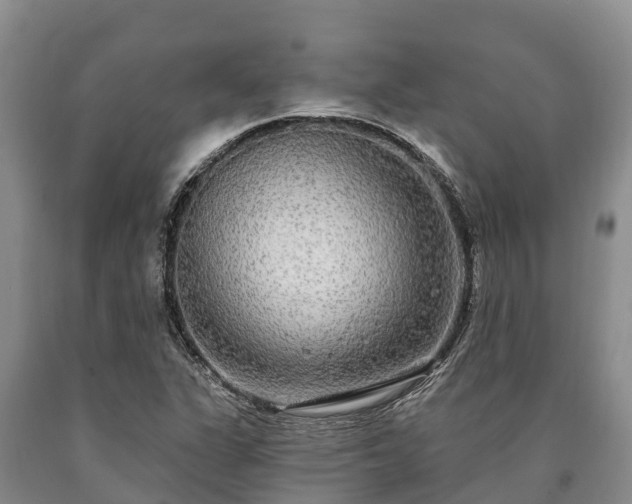 X0000090711311200707271123