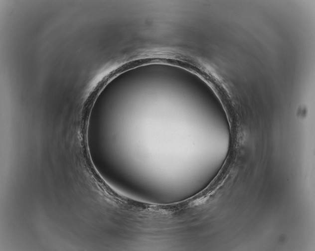 X0000090711312200707271123