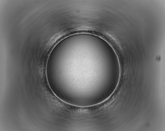 X0000090711313200707271123