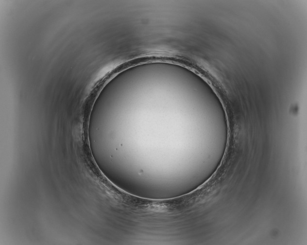 X0000090711315200707271123