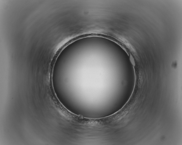 X0000090711316200707271123