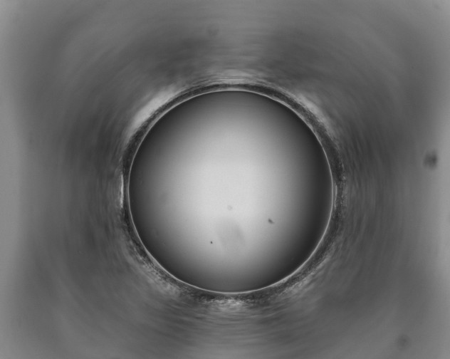 X0000090711317200707271123