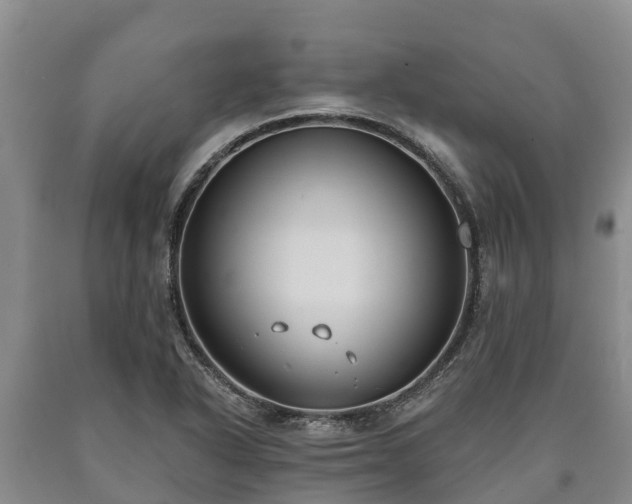 X0000090711318200707271123