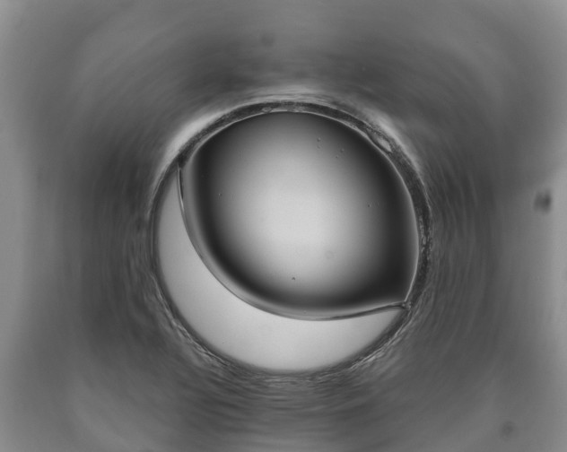 X0000090711320200707271123