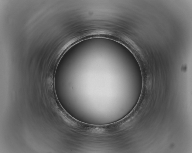 X0000090711321200707271123