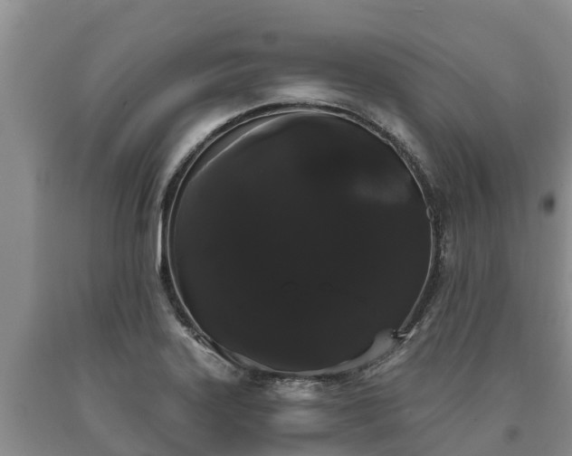 X0000090711323200707271123