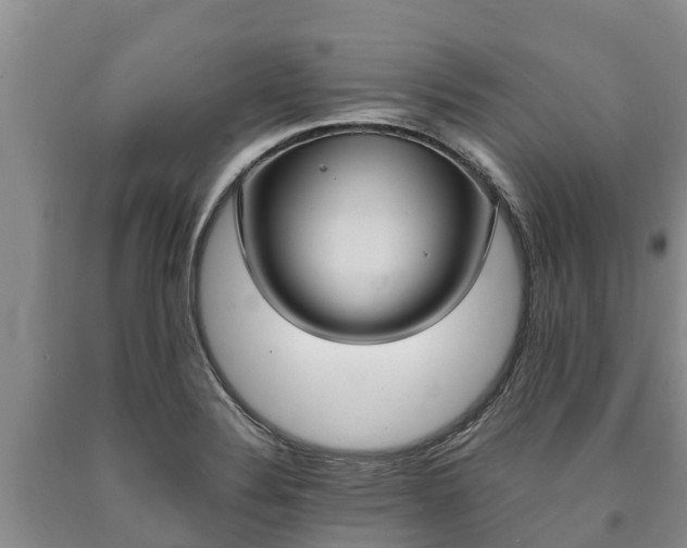 X0000090711324200707271123