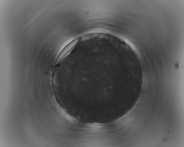 X0000090711329200707271123