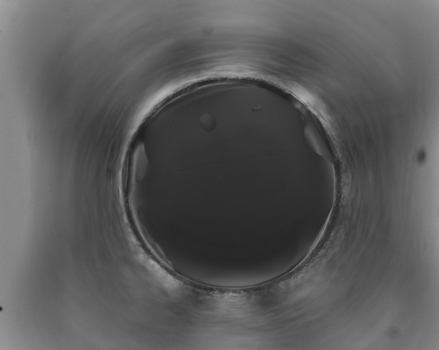 X0000090711334200707271123