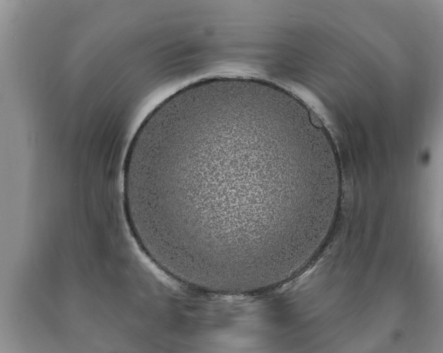 X0000090711335200707271123