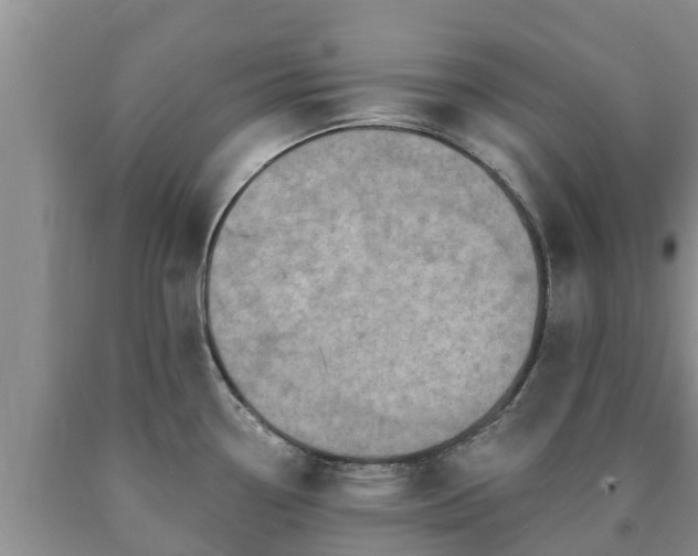 X0000090711338200707271123