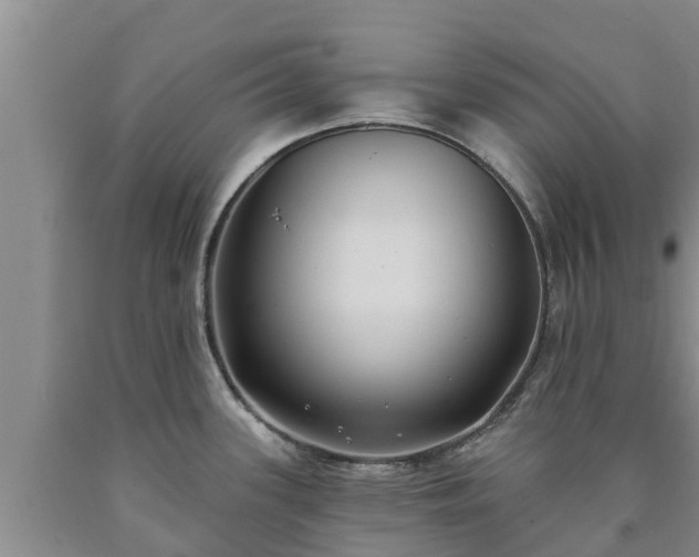 X0000090711339200707271123