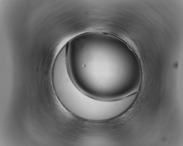 X0000090711344200707271123