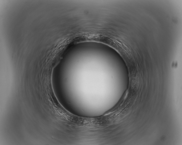 X0000090711345200707271123