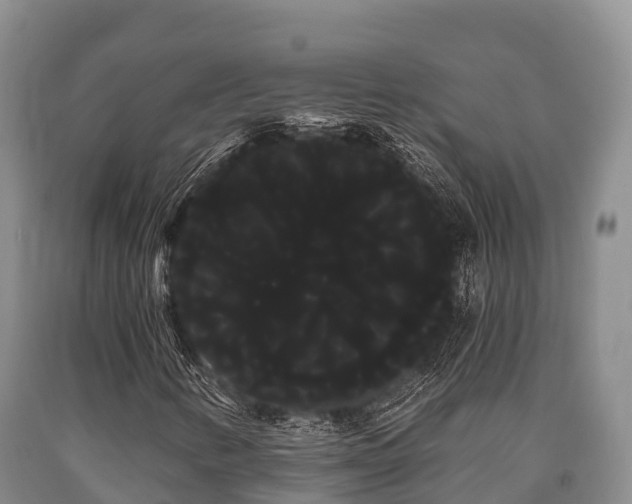 X0000090711346200707271123