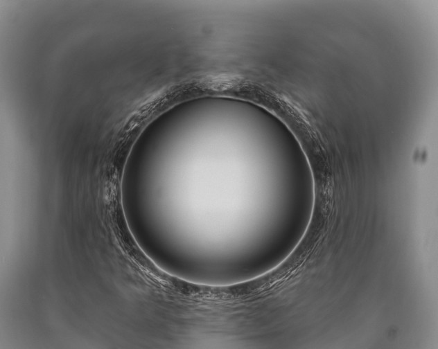 X0000090711349200707271123