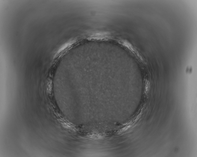 X0000090711350200707271123