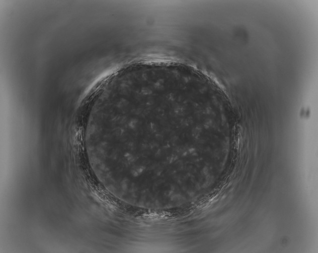 X0000090711351200707271123