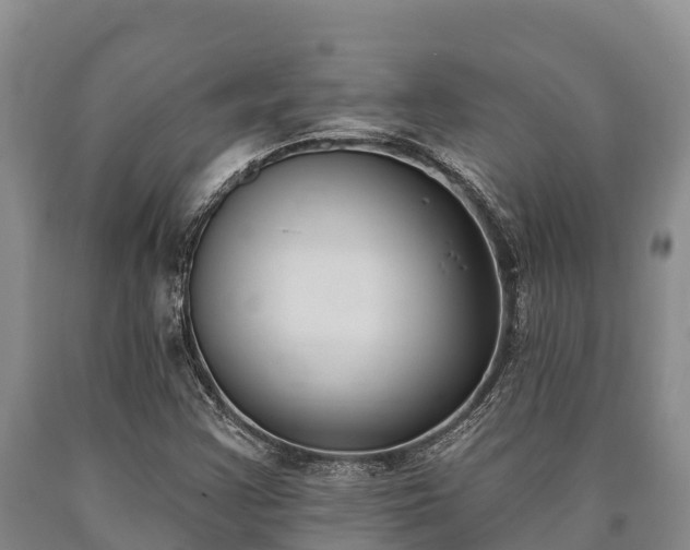 X0000090711355200707271123