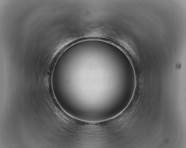 X0000090711356200707271123