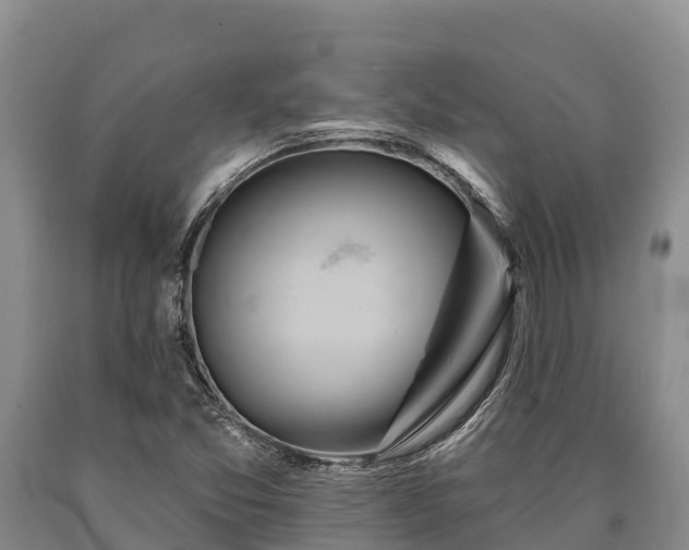 X0000090711357200707271123