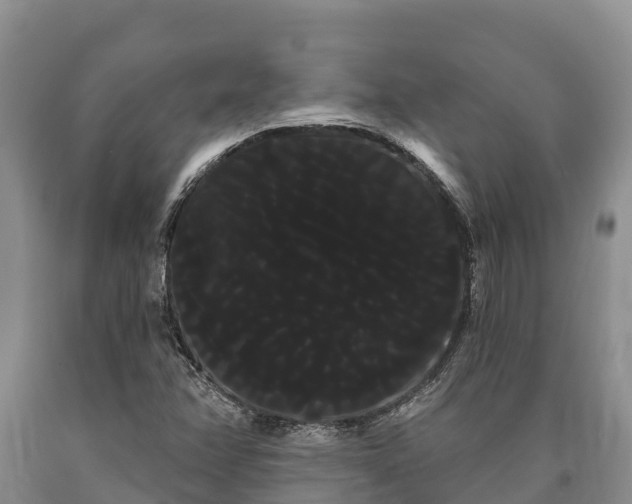 X0000090711358200707271123