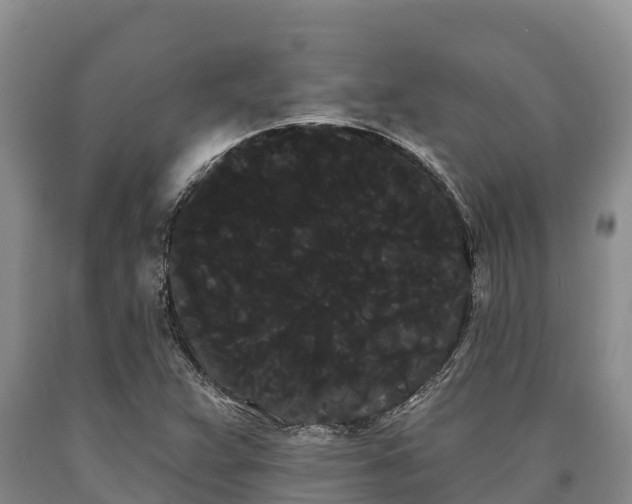 X0000090711359200707271122