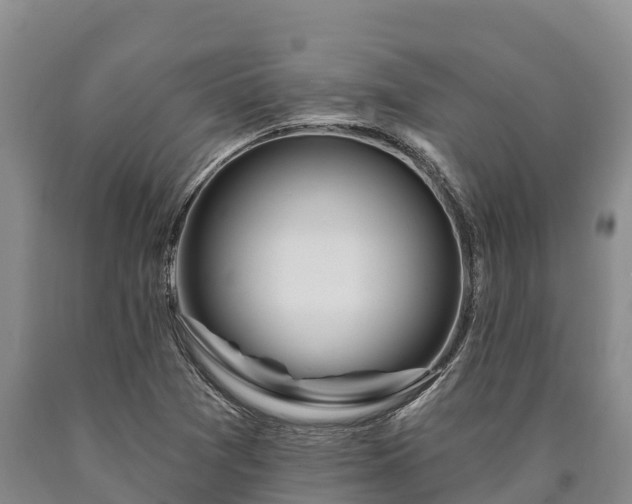 X0000090711361200707271122