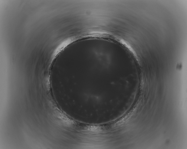 X0000090711362200707271122