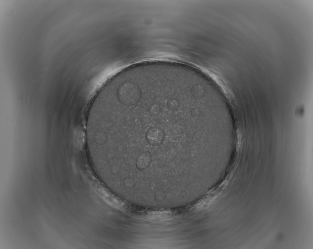 X0000090711363200707271122