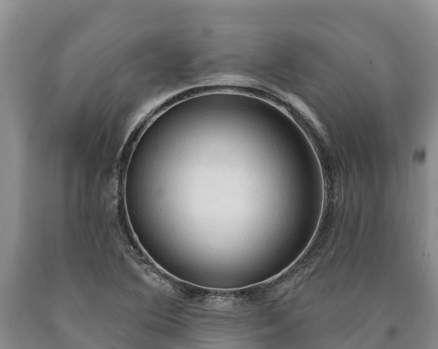 X0000090711364200707271122