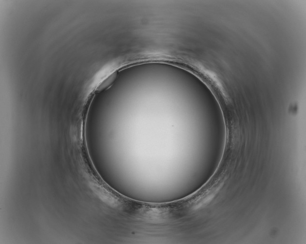 X0000090711365200707271122