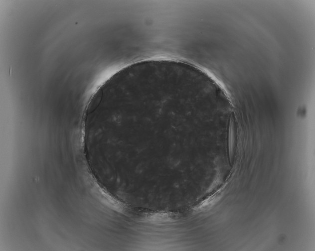 X0000090711367200707271122