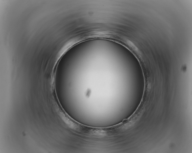 X0000090711370200707271122