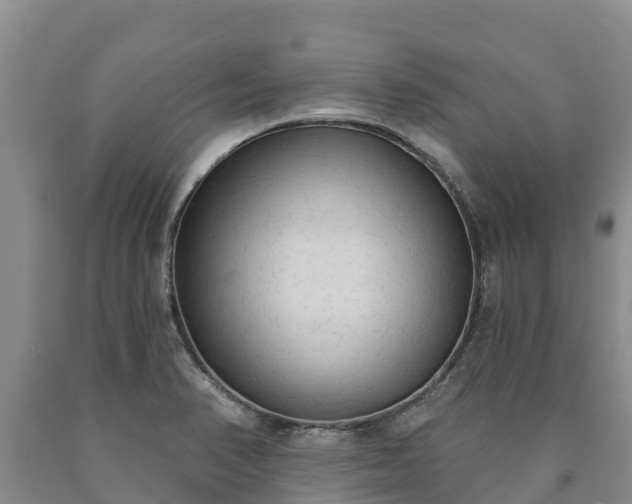 X0000090711374200707271122