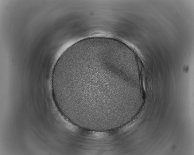 X0000090711375200707271122