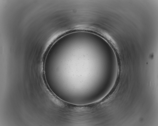 X0000090711376200707271122